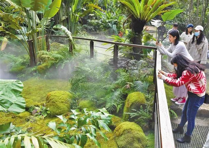 深圳仙湖植物园哪里好玩 奉上一日游攻略