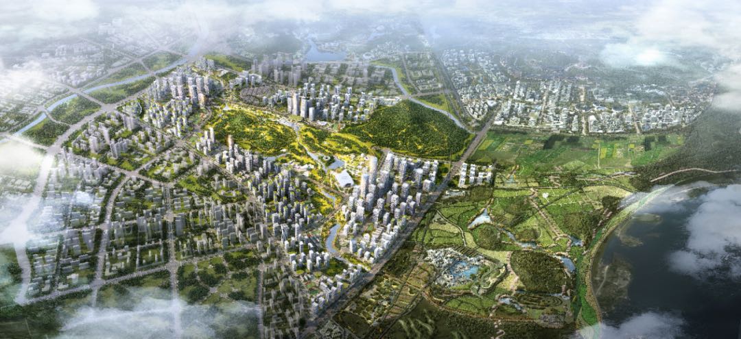 深圳光明区街道办联系方式