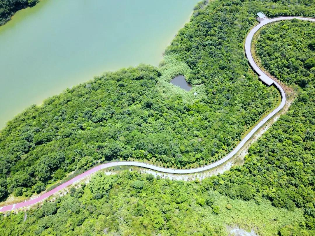 深圳绿道徒步路线推荐