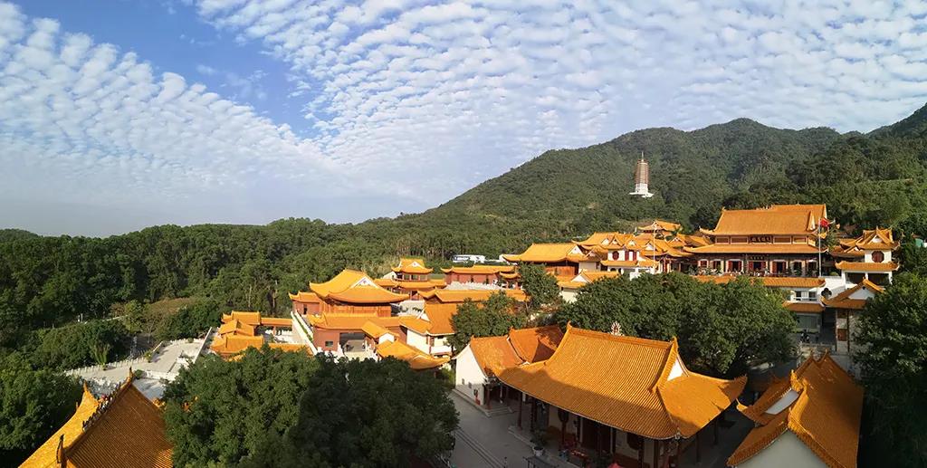 深圳弘法寺2月27日起有序恢复开放