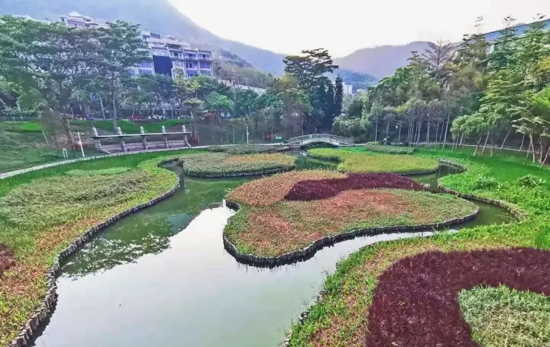 深圳大梅沙内湖湿地公园游玩攻略