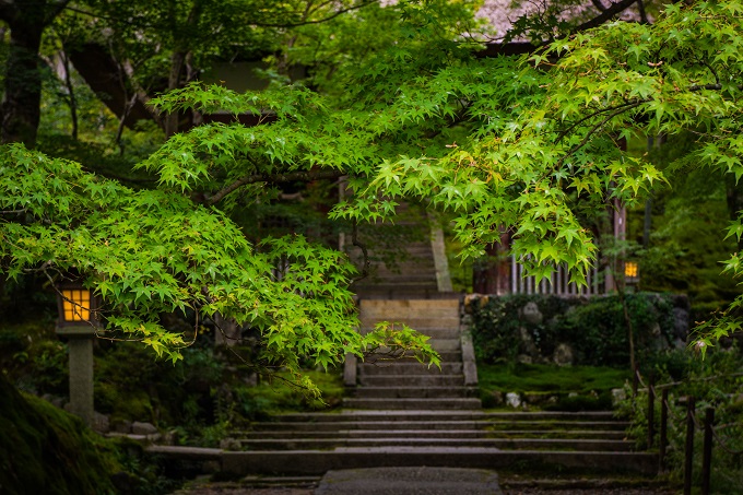 深圳东山寺要预约吗