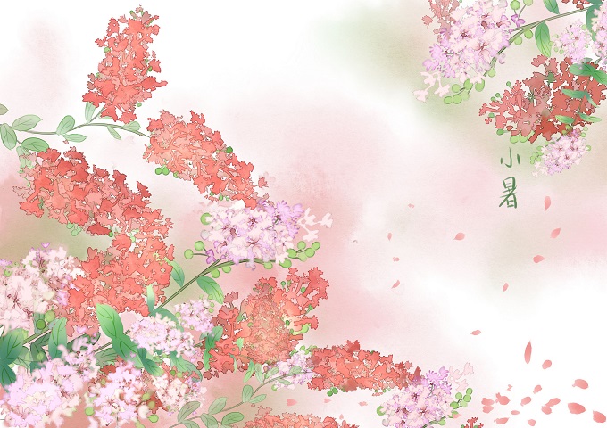 2021年深圳紫薇花花期多长时间
