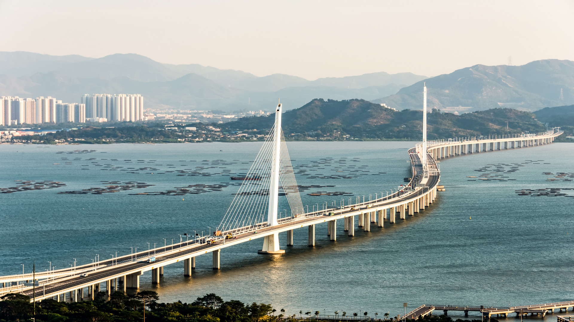 深圳湾公园停车在哪里停比较好