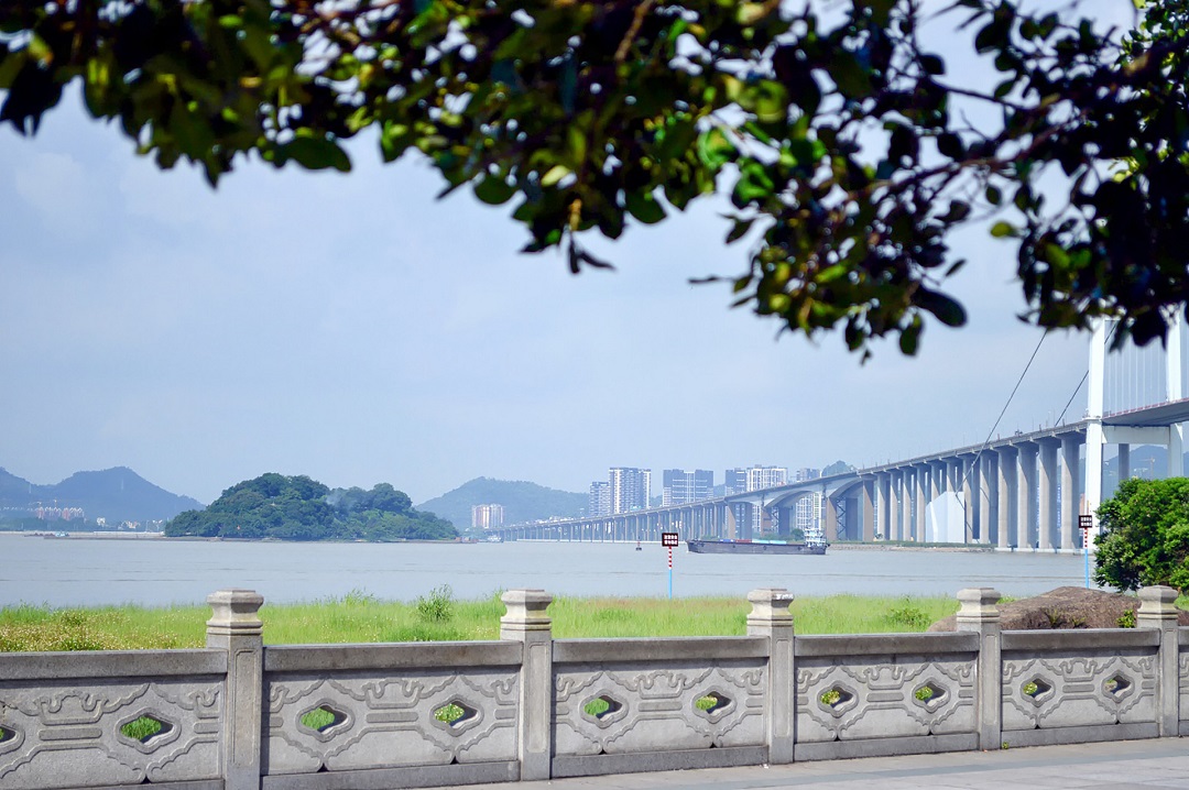 广东东莞两地宣布暂停堂食
