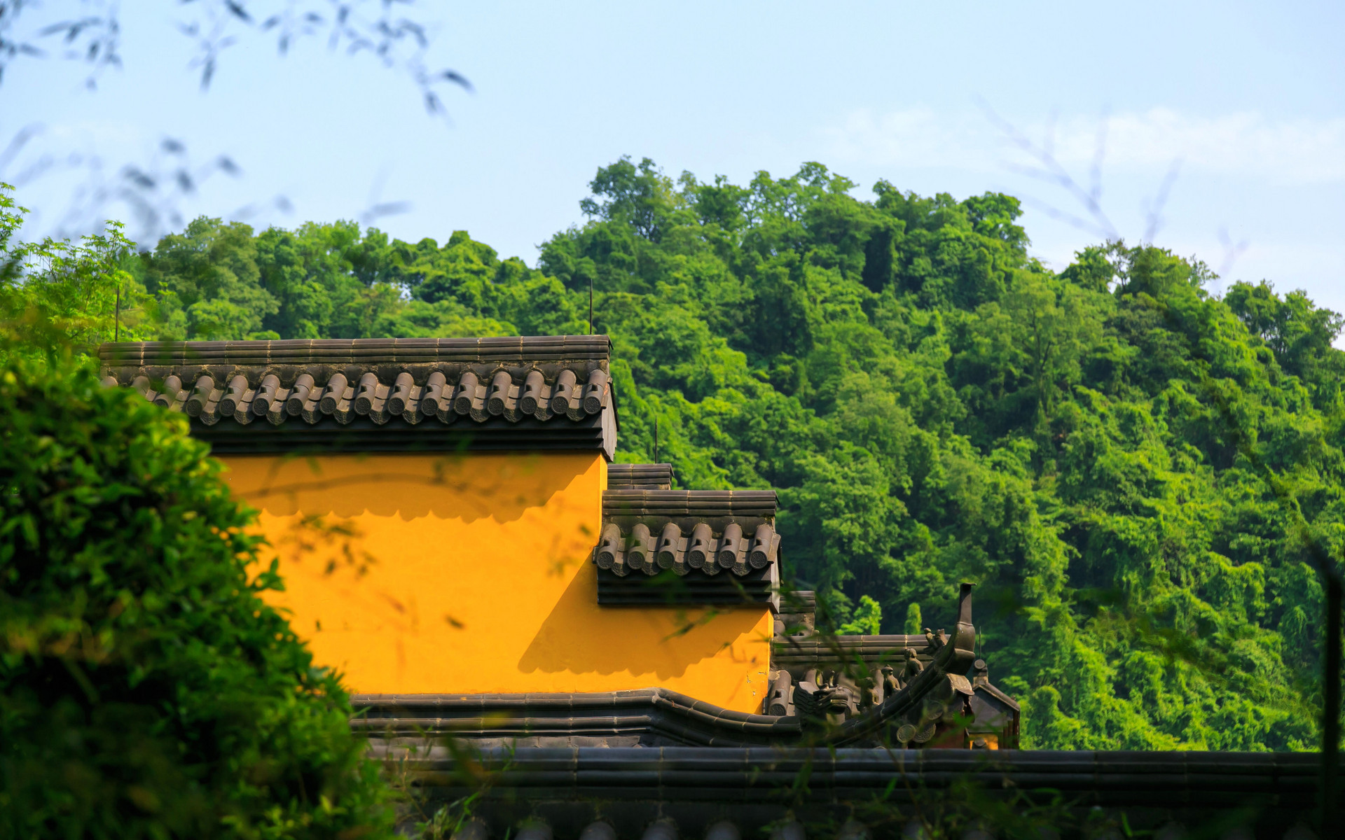 深圳弘法寺什么时候开放2022