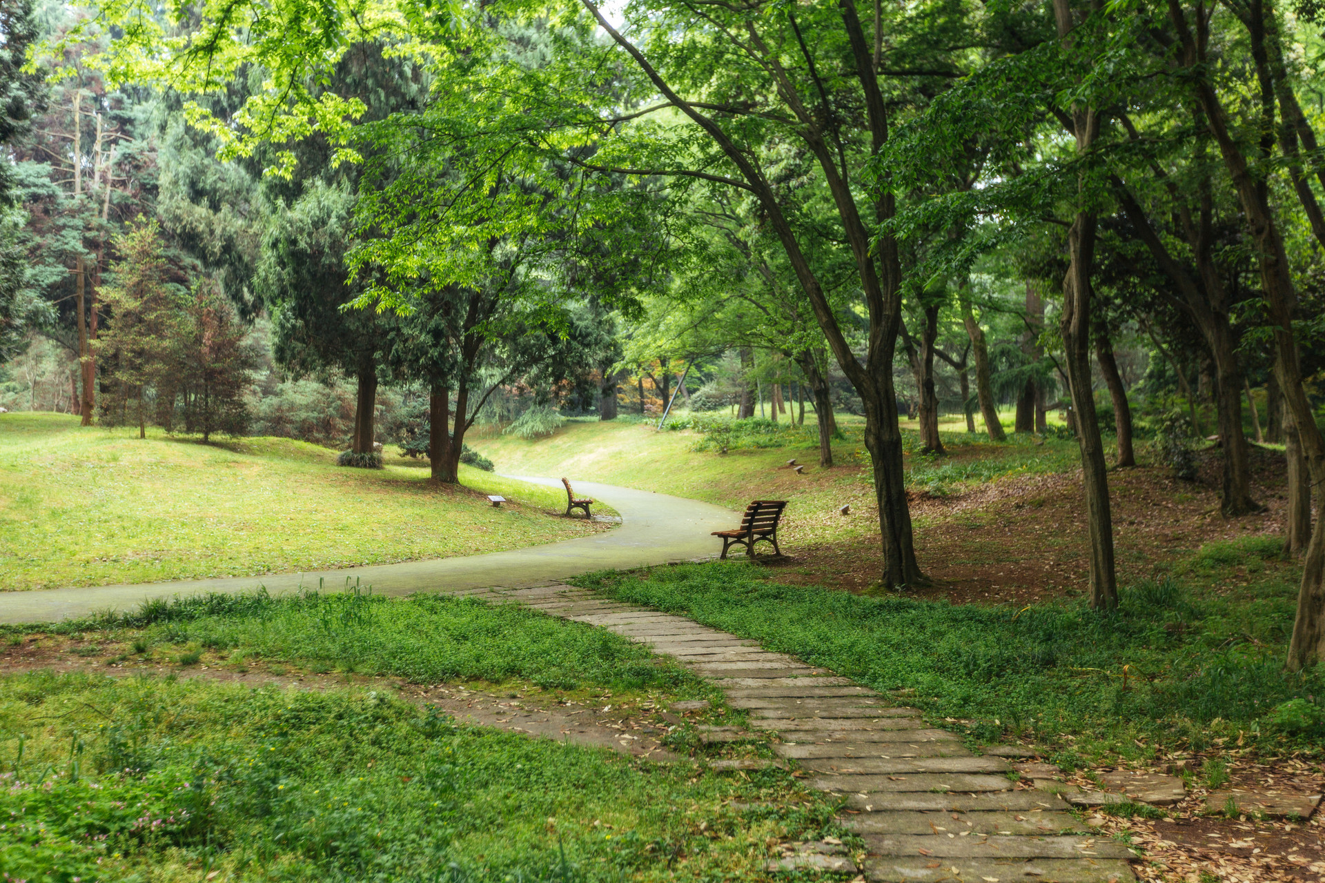 深圳仙湖植物园停车场预约指南