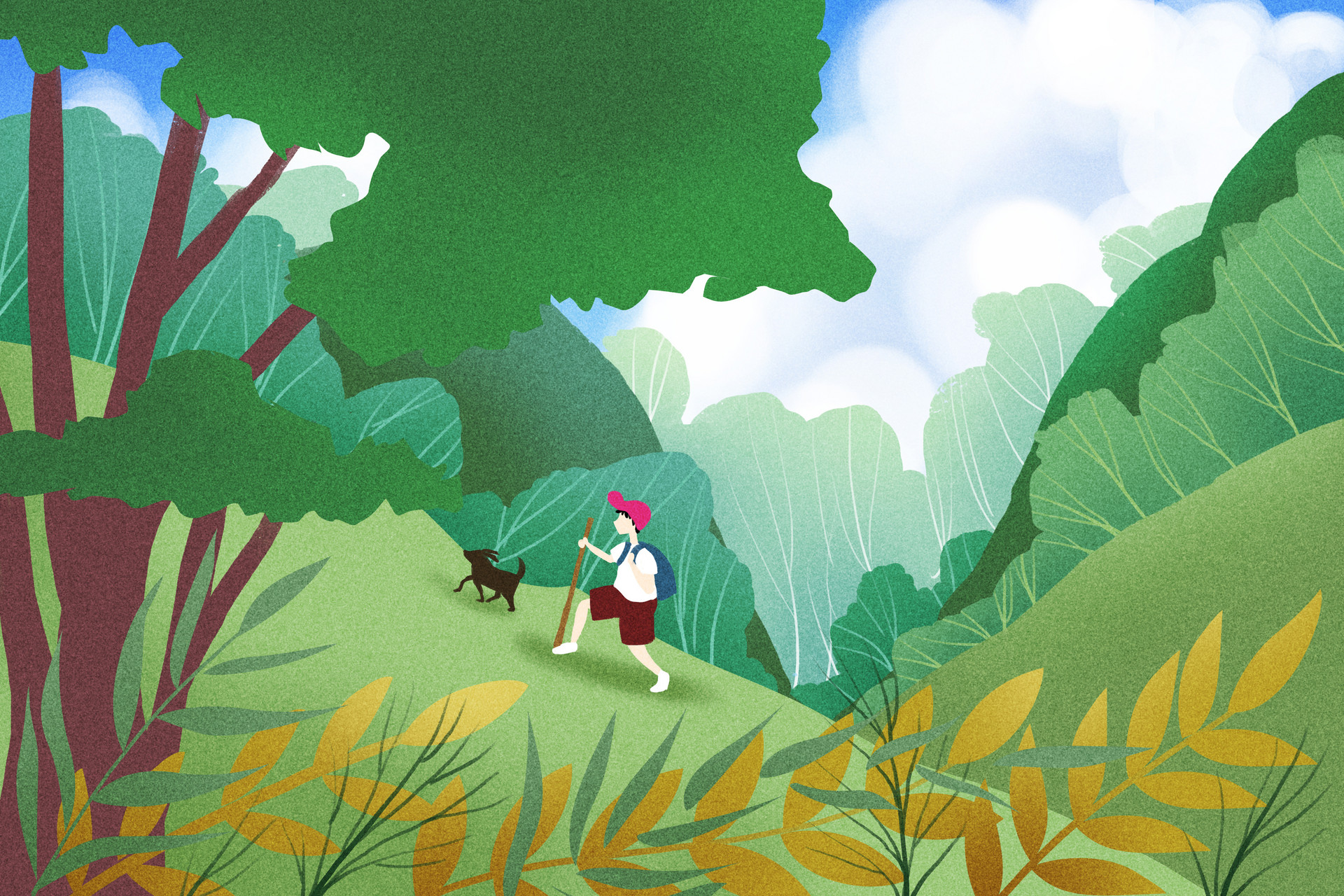 深圳梧桐山风景区可以开车上去吗