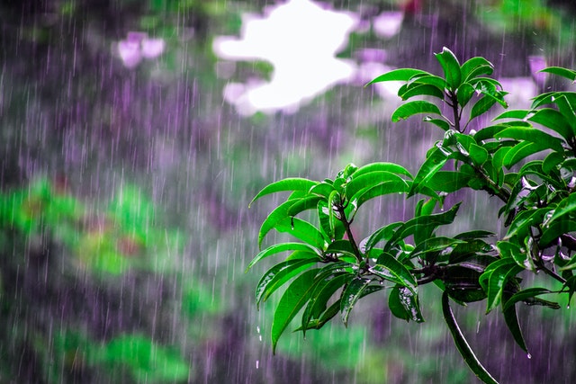 2022年6月8日深圳发布橙色暴雨预警