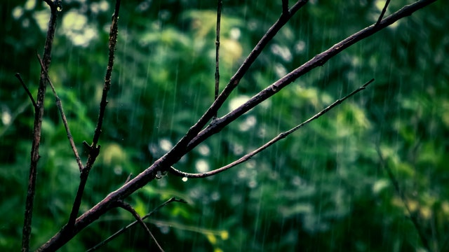 2022年6月14日深圳发布分区暴雨黄色预警