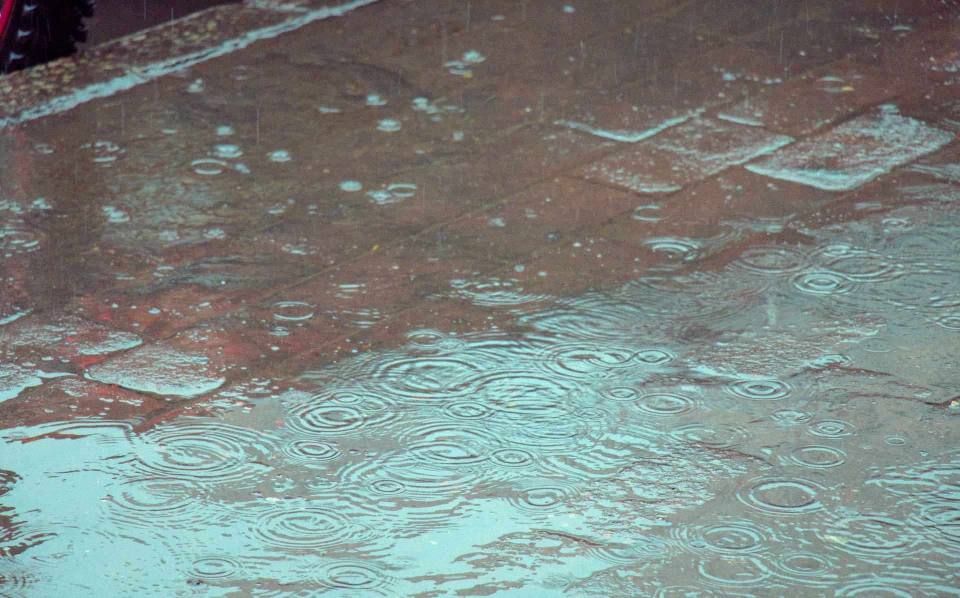 深圳暴雨黄色预警信号含义